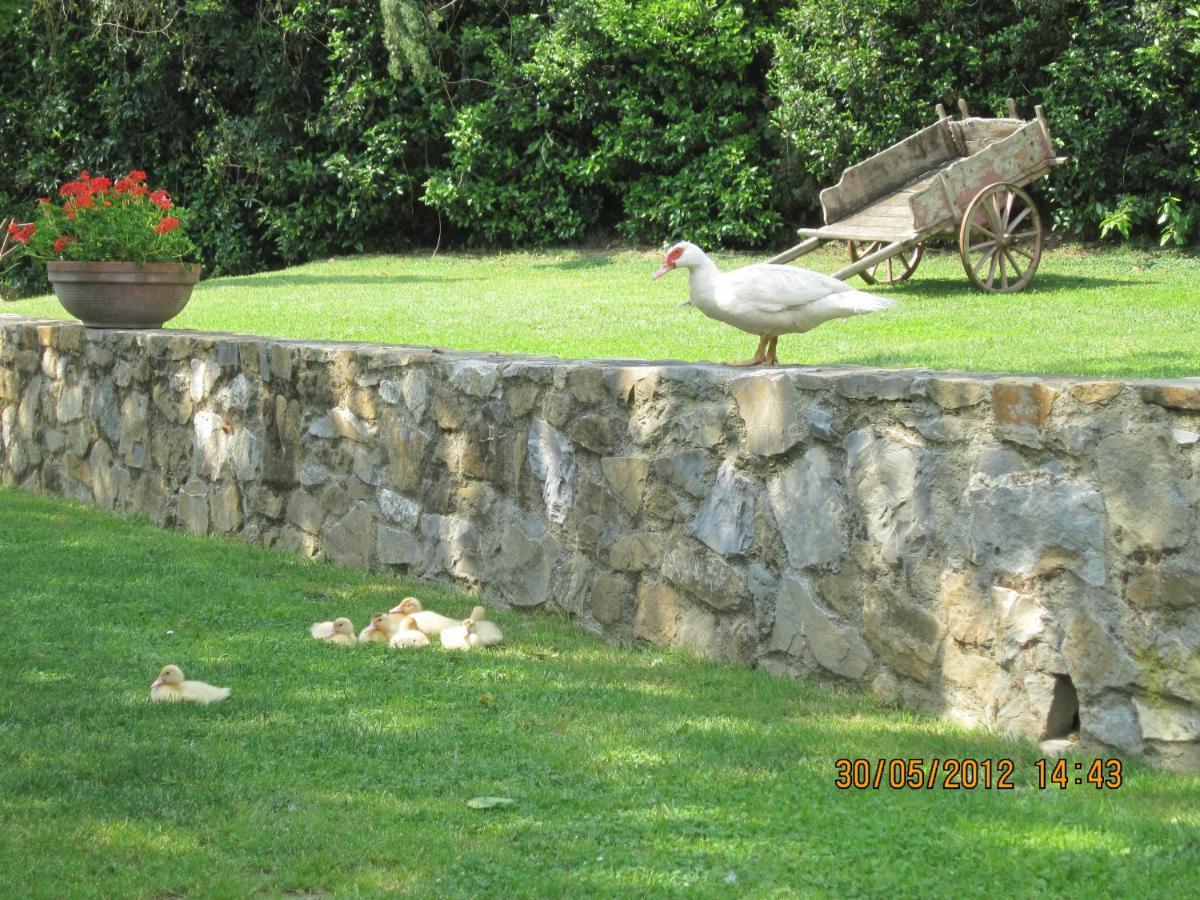 Agriturismo Conca Verde Scandicci Ngoại thất bức ảnh